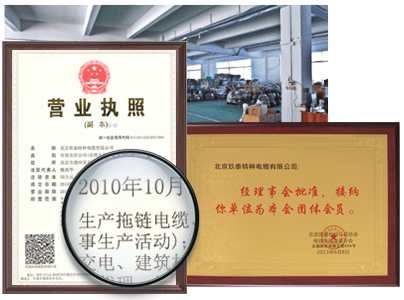 朱雀网荣誉证书